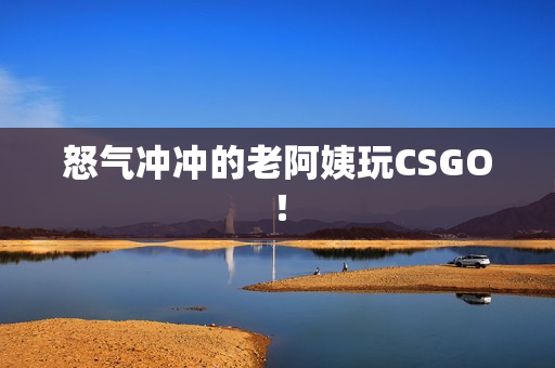 怒气冲冲的老阿姨玩CSGO！