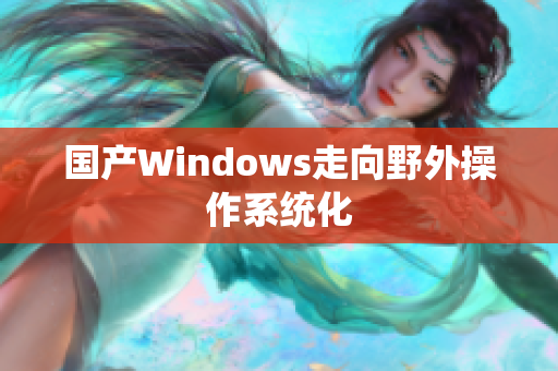 国产Windows走向野外操作系统化
