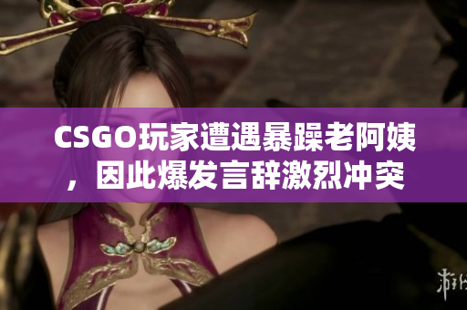CSGO玩家遭遇暴躁老阿姨，因此爆发言辞激烈冲突