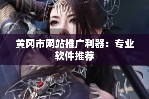黄冈市网站推广利器：专业软件推荐