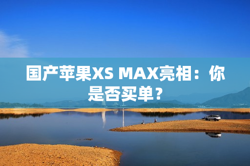 国产苹果XS MAX亮相：你是否买单？