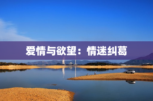爱情与欲望：情迷纠葛