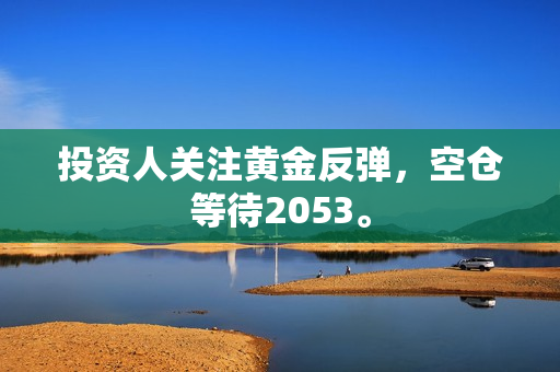 投资人关注黄金反弹，空仓等待2053。