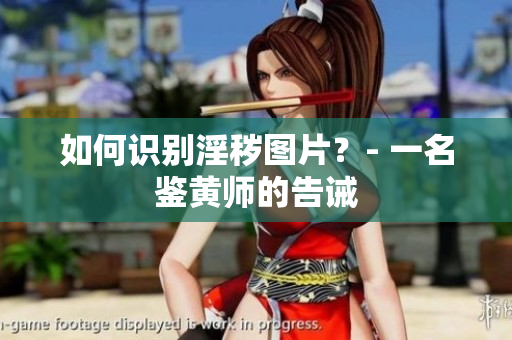 如何识别淫秽图片？- 一名鉴黄师的告诫