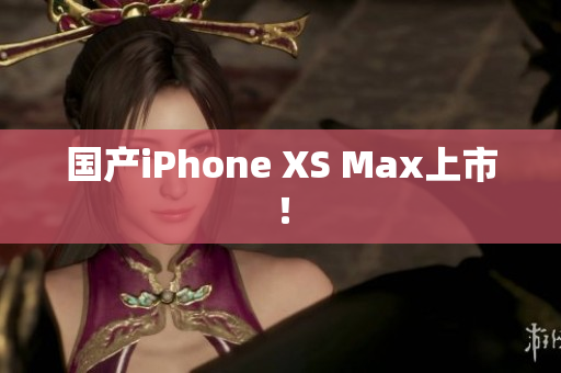 国产iPhone XS Max上市！