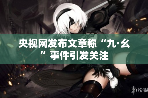 央视网发布文章称“九·幺”事件引发关注