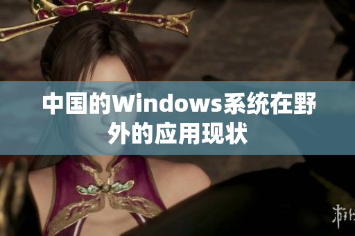中国的Windows系统在野外的应用现状
