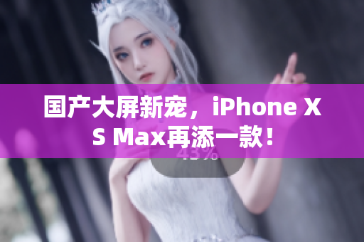 国产大屏新宠，iPhone XS Max再添一款！