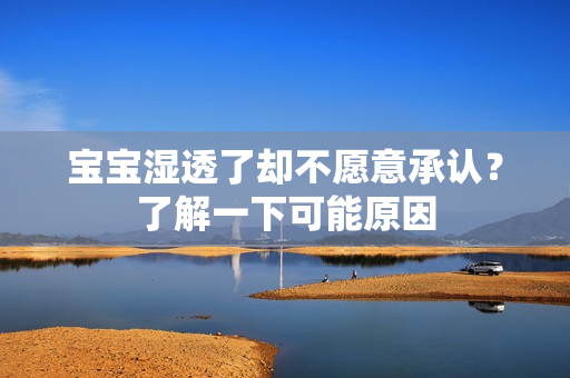 宝宝湿透了却不愿意承认？了解一下可能原因