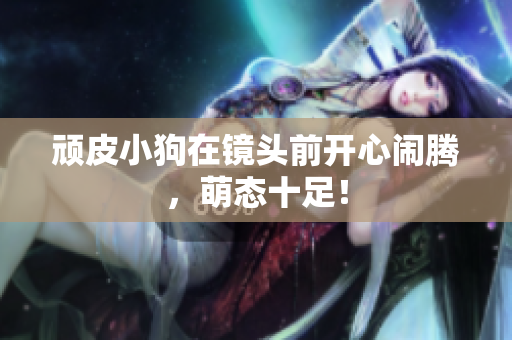 顽皮小狗在镜头前开心闹腾，萌态十足！