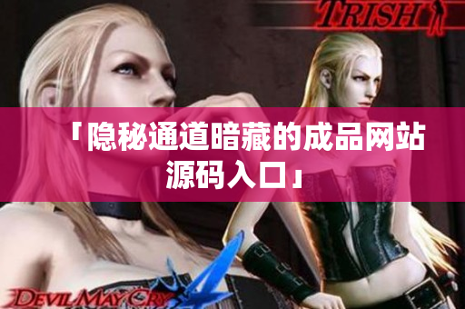 「隐秘通道暗藏的成品网站源码入口」