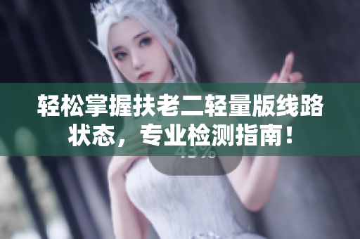 轻松掌握扶老二轻量版线路状态，专业检测指南！