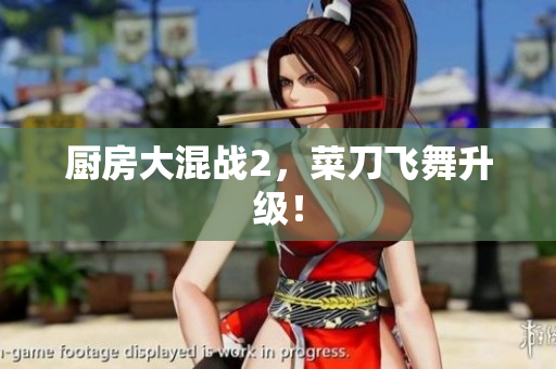 厨房大混战2，菜刀飞舞升级！