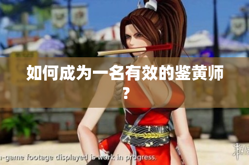 如何成为一名有效的鉴黄师？