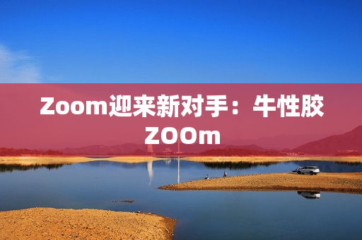 Zoom迎来新对手：牛性胶ZOOm