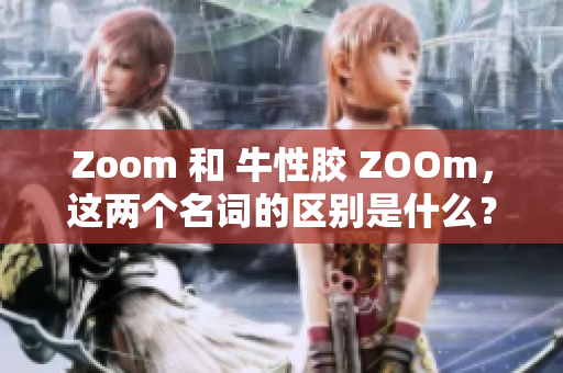 Zoom 和 牛性胶 ZOOm，这两个名词的区别是什么？