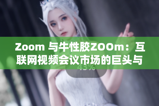 Zoom 与牛性胶ZOOm：互联网视频会议市场的巨头与挑战者