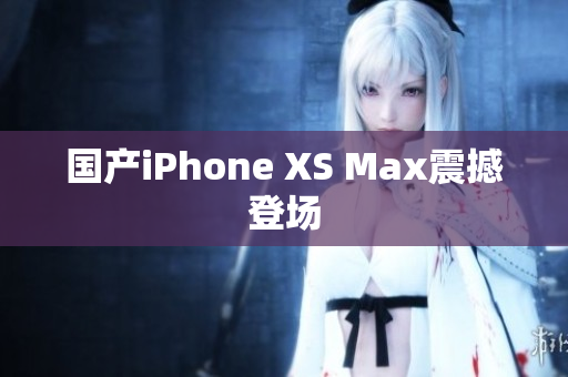 国产iPhone XS Max震撼登场