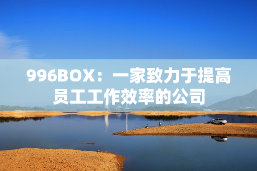 996BOX：一家致力于提高员工工作效率的公司
