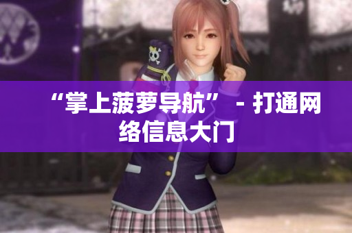 “掌上菠萝导航”－打通网络信息大门