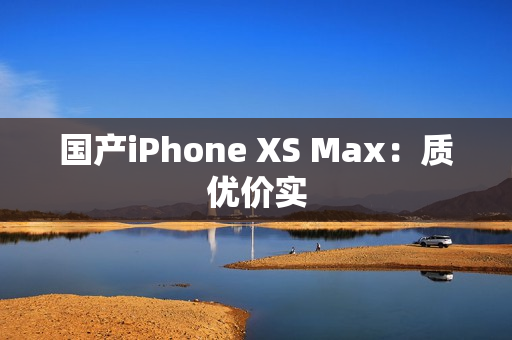 国产iPhone XS Max：质优价实