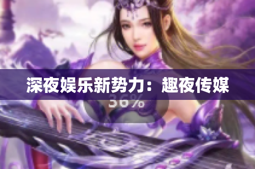 深夜娱乐新势力：趣夜传媒