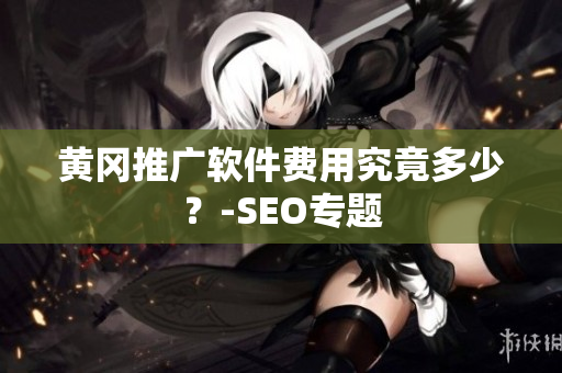 黄冈推广软件费用究竟多少？-SEO专题
