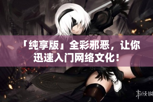 「纯享版」全彩邪恶，让你迅速入门网络文化！