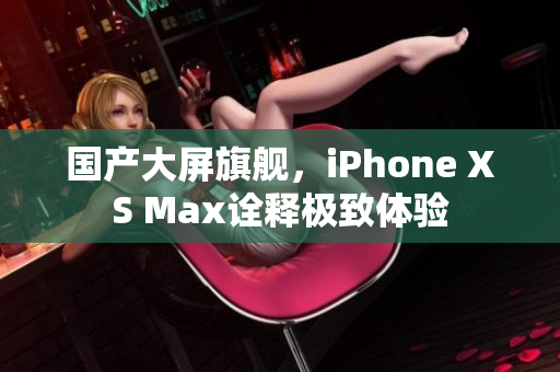国产大屏旗舰，iPhone XS Max诠释极致体验