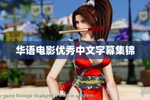 华语电影优秀中文字幕集锦