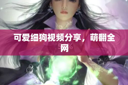 可爱细狗视频分享，萌翻全网