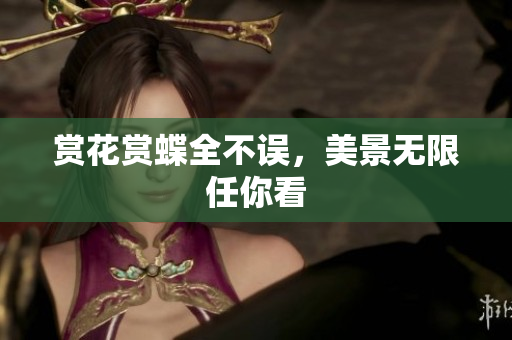 赏花赏蝶全不误，美景无限任你看